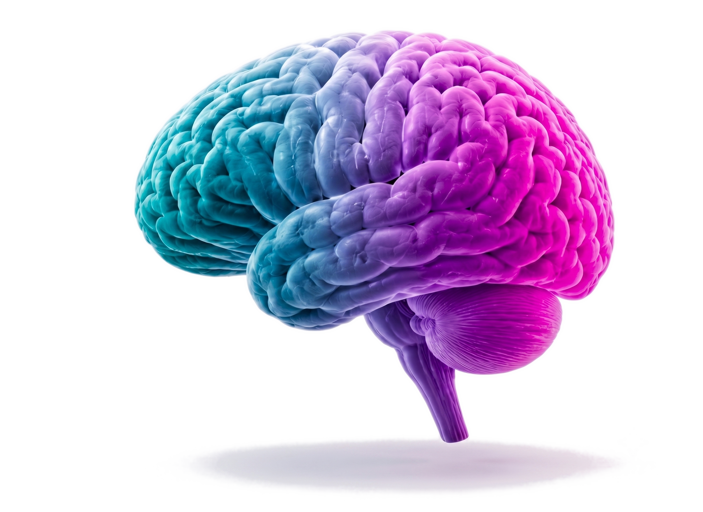 One Life Neuro Clinic